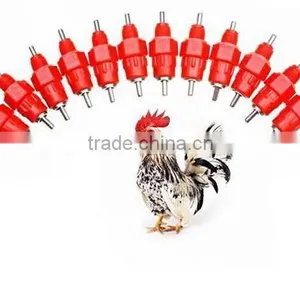 Supply for Convenient Automatic Poultry Equipment thumbnail-4