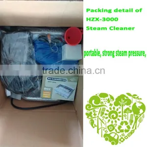HZX-3000 Auto Detailing Machine Business/Steam Handheld Cleaner thumbnail-5