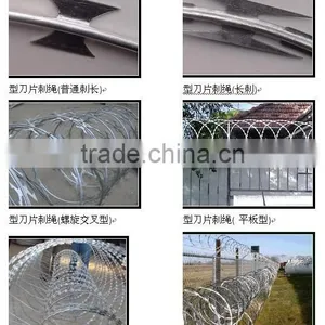 Concertina Razor Wire / Galvanized Concertina Razor Wire / Hight Security Razor Wire Fencing thumbnail-6