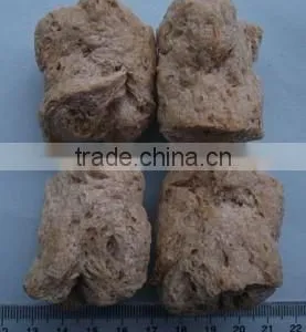 Direct Factory Price Hotsell Nutritional Soya Food Extruder thumbnail-4