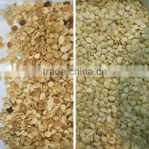 Automatic Ccd Color Sorter for Cashew Nut/apricot Kernels/walnut thumbnail-3