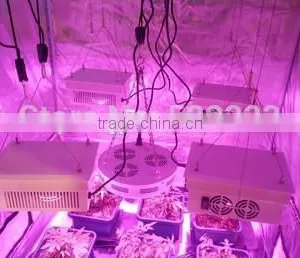 Hot Sell Cob Led Grow Bulbs150 w Indoor Grow Light Bulbs thumbnail-4
