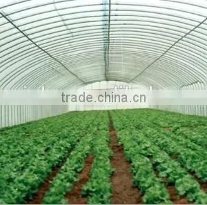High Quality Plastic Greenhouse Price for Tomato thumbnail-1