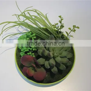 Brand Name Plastic Small Multicapacity Process Artificial Round Plate Bonsai Decor thumbnail-3