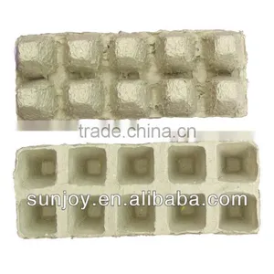 Nursery Seed Tray With Paper thumbnail-1
