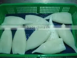 Frozen Whole Round Squid/ Frozen Squid/ Vietnam Seafood thumbnail-4