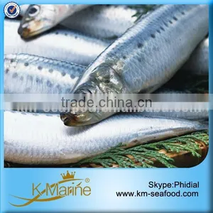 Fair Price Frozen Sardine Fish Seafood thumbnail-1