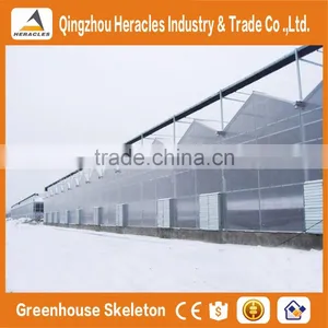 Heracles Trade Assurance Gothic PC Sheet Greenhouse thumbnail-4