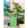 China Color Painted/Lacquered Glass With CE&ISO9001 thumbnail-2