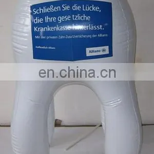 PVC Inflatable Lifelike Tooth Model thumbnail-1