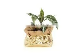 Light Brown Color for Washable Paper Bag thumbnail-4