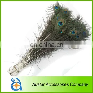 Wholesale Cheap Peacock Feather in High Quality thumbnail-1