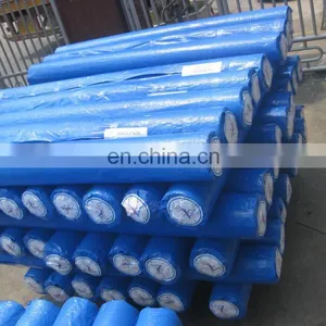 pe Tarpaulin Blue/silver Awning Tarpaulin in Roll thumbnail-4