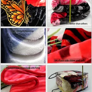Enviromental Printing Raschel Manta 100% Polyester Mink Blanket for Sale thumbnail-5