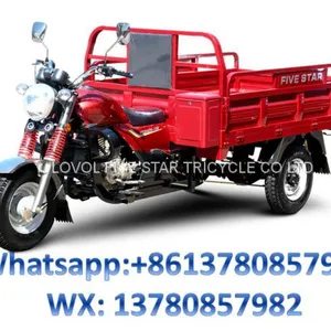Gasoline Tricycle Cargo Loader Lovol Three Wheeler Mali Ethiopia Ghana Bukina Faso Tanzania Kenya Senegal Togo Benin Nigeira Mauritania Angola Burundi Chad Cameroon C ô te D'Ivoire Gabon Guinea Mozambique Rwanda Congo Uganda Zimbabwe thumbnail-1