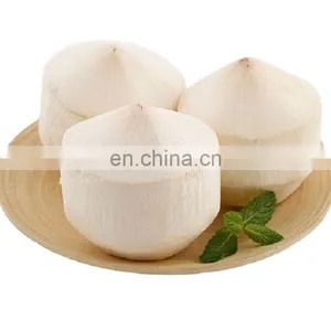 Coconut Vietnam High Quality Competitive Price thumbnail-1