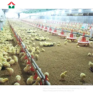China Made Commercial Chicken House Used thumbnail-4