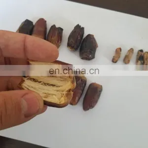 Small Electric Jujube Seed Removing Machine With Side Half Cutting for Putting Walnuts thumbnail-5