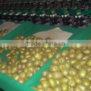 Vegetable Weighting Sorting Machine for Tomato, Beans,pear, Kiwi Fruit, Apple thumbnail-2