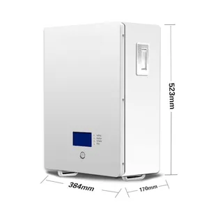 Large Capacity 10kwh Wall Mounted Home Solar Lithium Iron Phosphate Energy Storage Battery thumbnail-3