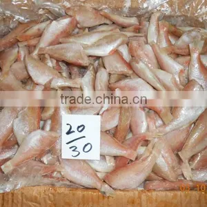 FROZEN SEA BREAM thumbnail-3