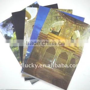 Factory Directly Selling Bulk Plastic File Folder /A4 PP Folder /pp File Folder thumbnail-2