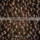 Indian Black Pepper/black Papper Exporter in India/whole Indian Pepper thumbnail-5