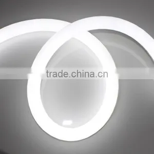 220V 110V 24V 12V Led Neon Rope Light thumbnail-1