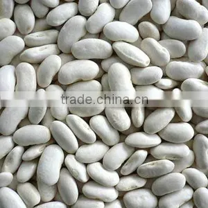 We Are Supply Kidney Beans, Medium White Kidney Beans With Competitive Price Quality Choice thumbnail-5