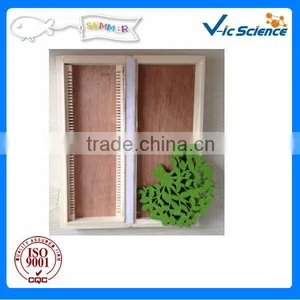 50pcs Wooden Slides Box for Prepared Slides thumbnail-1