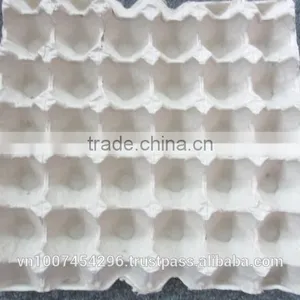 * Paper Pulp Egg Tray thumbnail-2