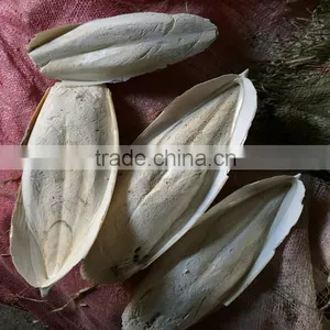 Hai Piao Xiao Dry Bone Ground Cuttlebone thumbnail-5