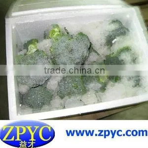 Fresh Broccoli thumbnail-1