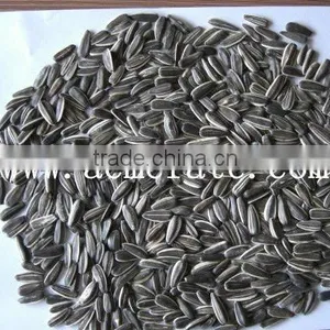 Sunflower Seeds Suppliers thumbnail-1