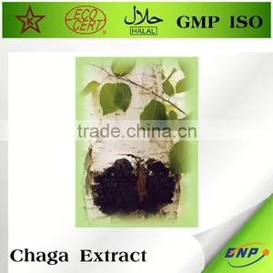 Wholesale Nutritional Supplement Chaga thumbnail-1