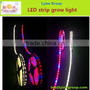 50m/Roll Waterproof Flexible SMD5050 Rgb Led Strip Led Lights Manufacturing thumbnail-1