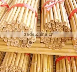 Variosu Size Bamboo Poles thumbnail-6