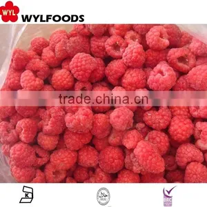 IQF Frozen Raspberry Grade A Whole thumbnail-4