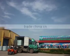 Henan Shijixiang Edible Mushroom Co., Ltd. company overview - view 3 thumbnail