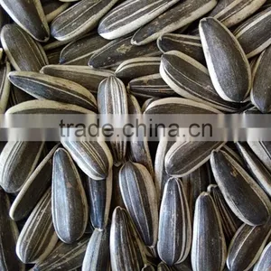 Lowest Factory Price Sunflower Seeds for Sale thumbnail-3