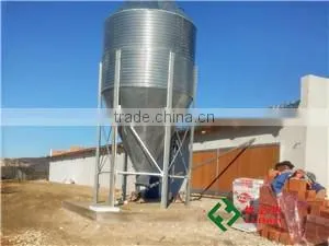 Automatic Broiler Poultry Equipment thumbnail-5