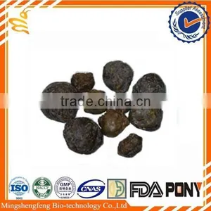 HOT!!!Natural Propolis With Competetive Price/pure Propolis thumbnail-1