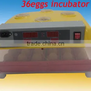 144 Quail Egg Mini Hatchery Price in UK WQ-36 thumbnail-3