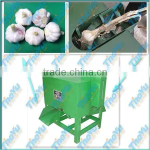 Thoyu Brand Fresh Garlic Stem and Tail Cutting Machine(SMS:0086-15903675071) thumbnail-1