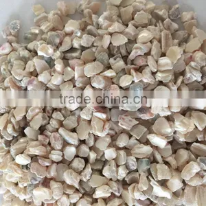 Crushed Trochus Shell thumbnail-1