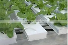Trade Assurance Supplier Greenhouse Hydroponics System thumbnail-6