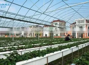 Factory Price Poly Carbonate Greenhouse for Tomato /cucumber thumbnail-2