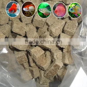Wholesale Freeze Dried Tubifex Worm Block Fish Feed thumbnail-1