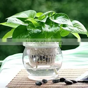 Best Selling Injection Moulds Plastic Flowerpot Mould thumbnail-5