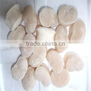 IQF New Season Frozen Seafood Scallops thumbnail-1